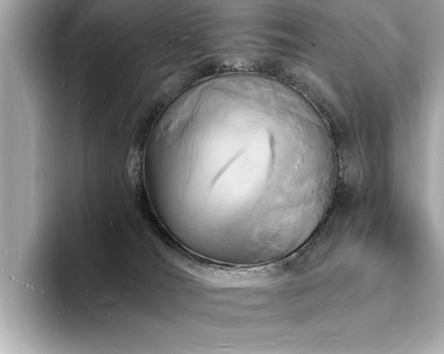 X0000093600036200710151229