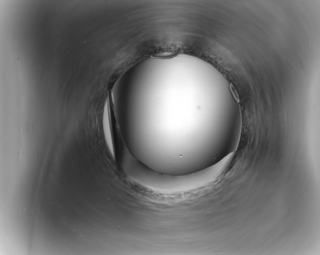 X0000093600037200710151229