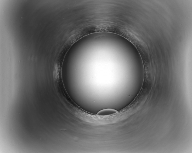 X0000093600038200710151229