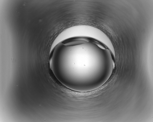 X0000093600039200710151229