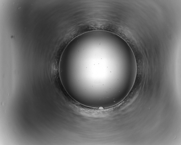 X0000093600040200710151229