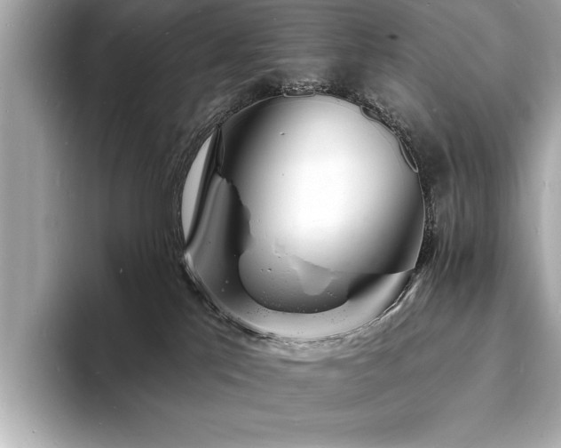 X0000093600041200710151229