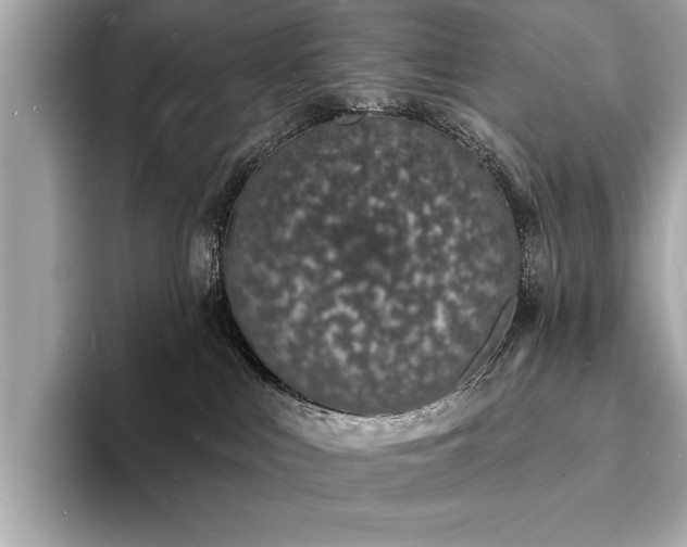 X0000093600043200710151229