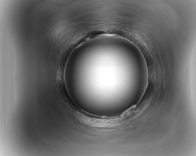 X0000093600044200710151229