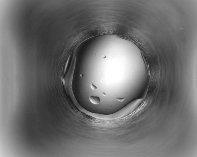 X0000093600045200710151229