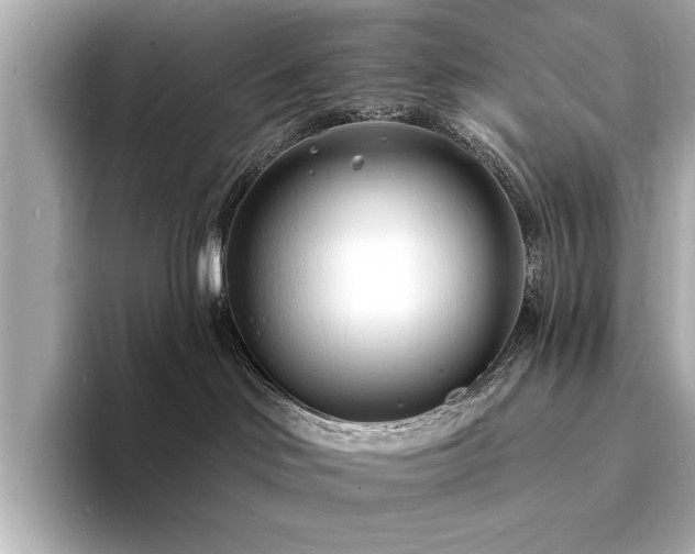 X0000093600046200710151229