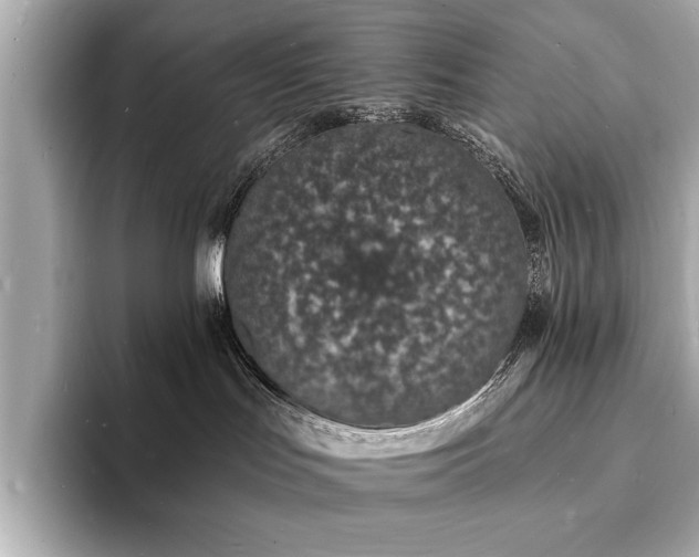 X0000093600047200710151229