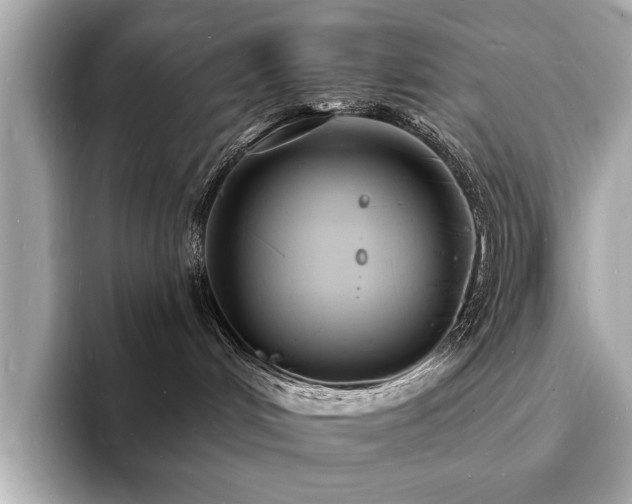 X0000093600048200710151229