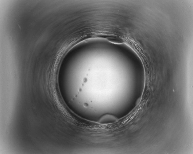 X0000093600049200710151228