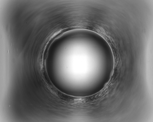 X0000093600050200710151228