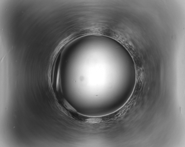 X0000093600051200710151228