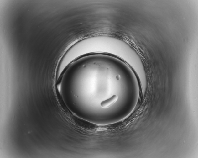 X0000093600052200710151228