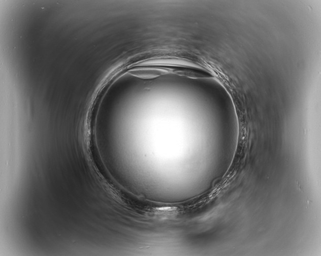 X0000093600053200710151228