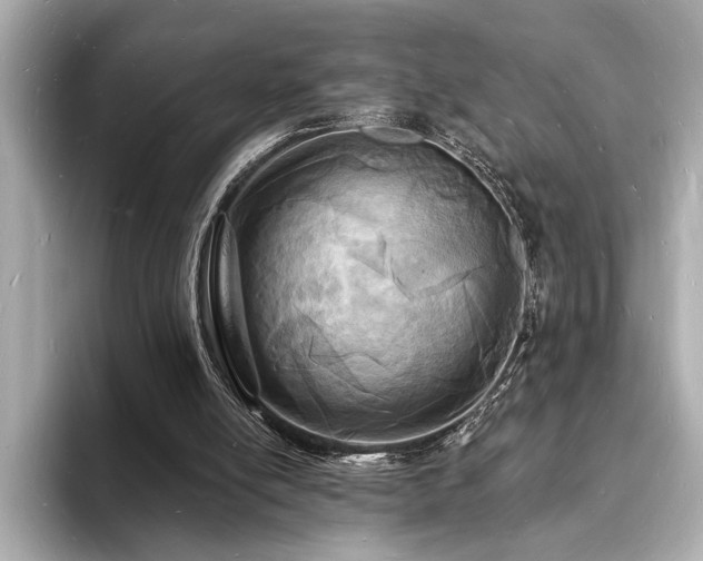 X0000093600054200710151228