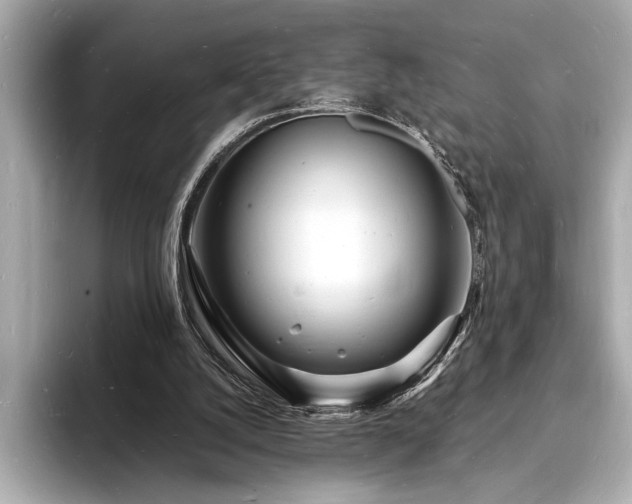 X0000093600056200710151228