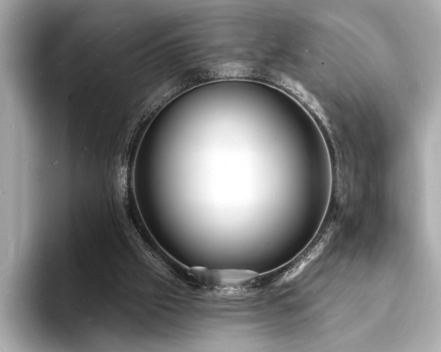 X0000093600057200710151228