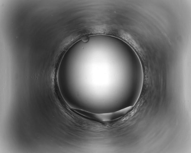 X0000093600058200710151228