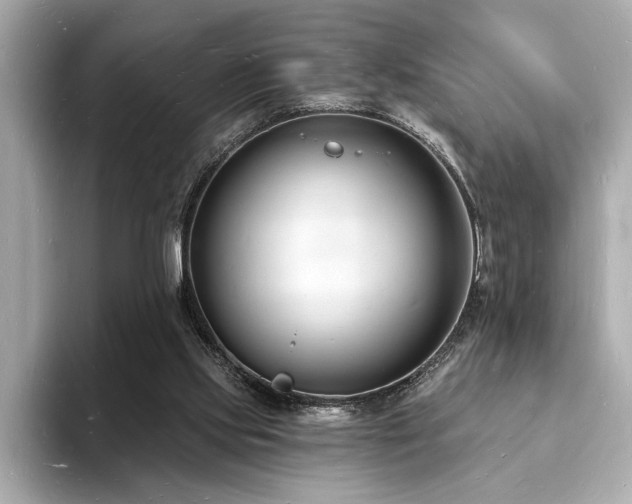 X0000093600061200710151228