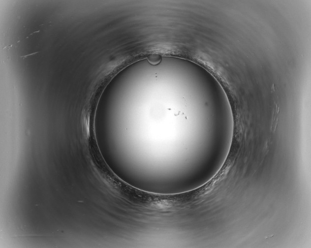 X0000093600062200710151228