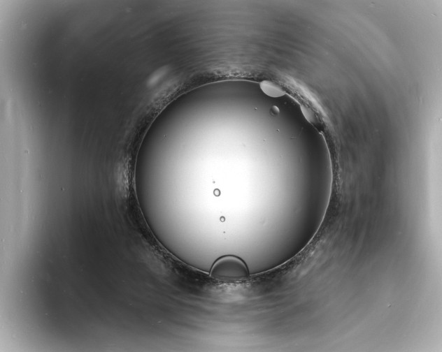 X0000093600065200710151228