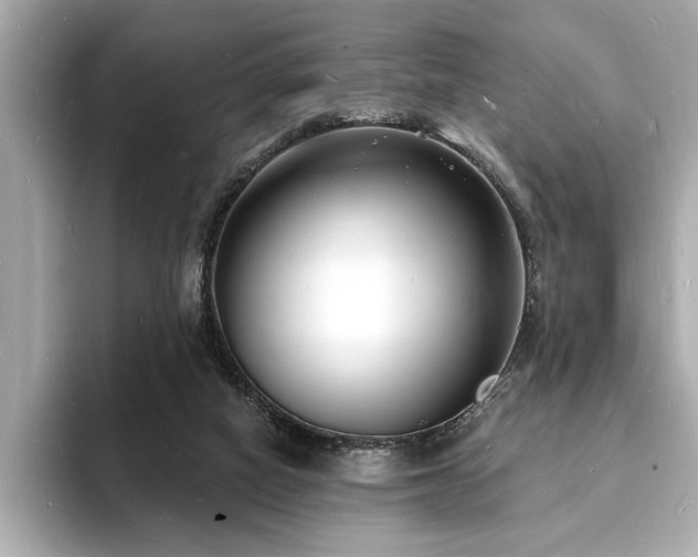 X0000093600066200710151228