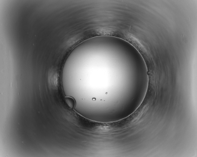 X0000093600071200710151228