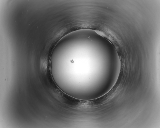 X0000093600072200710151228