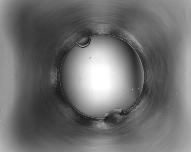 X0000093600073200710151228