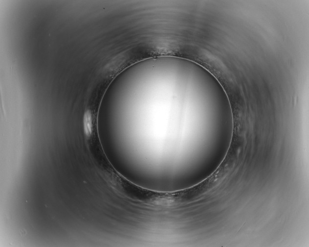 X0000093600075200710151228