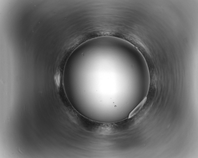 X0000093600076200710151228