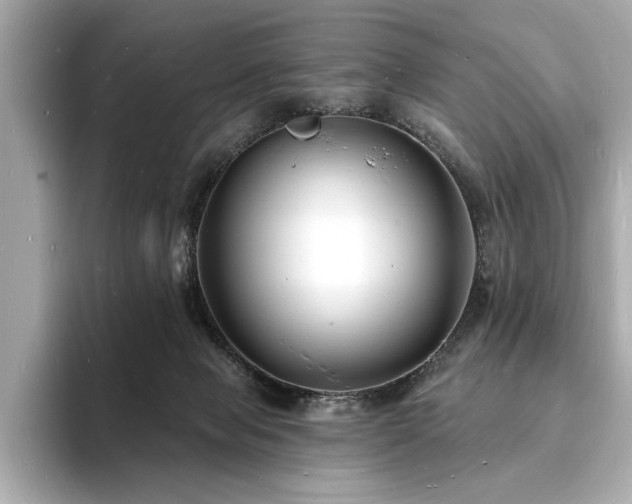 X0000093600077200710151228