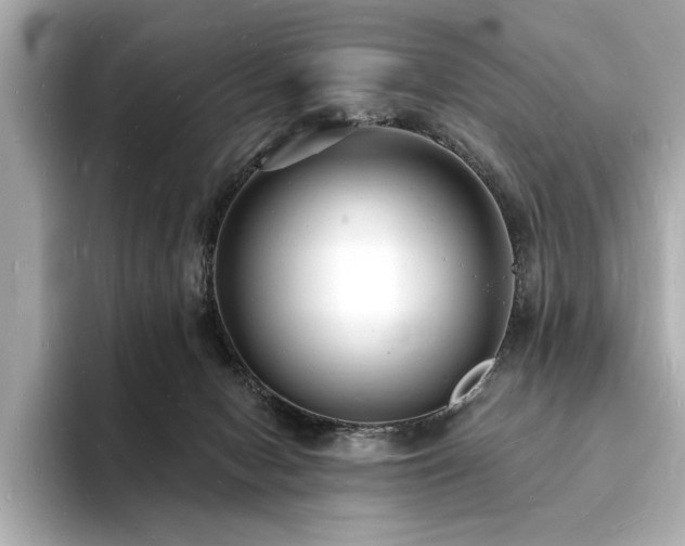 X0000093600078200710151229