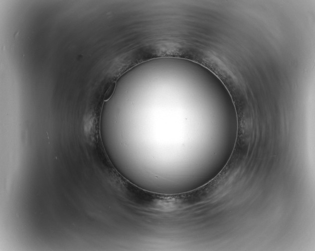 X0000093600079200710151229