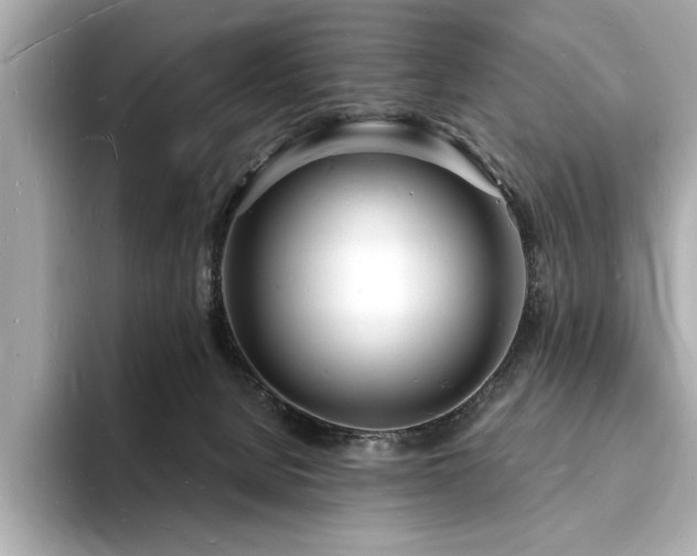 X0000093600080200710151229