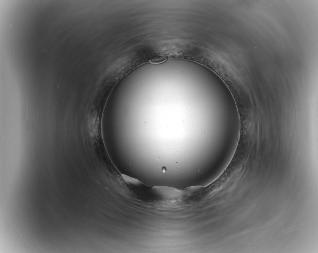 X0000093600081200710151229