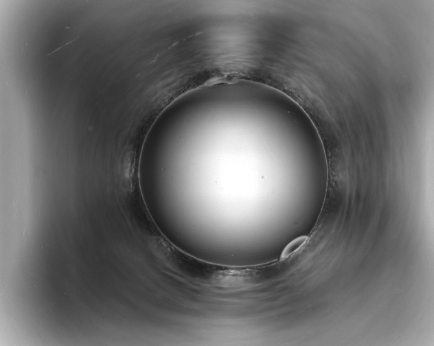 X0000093600082200710151229