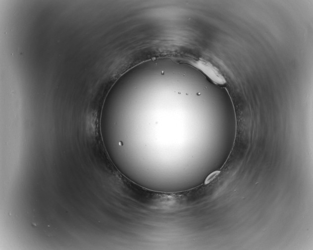 X0000093600083200710151229