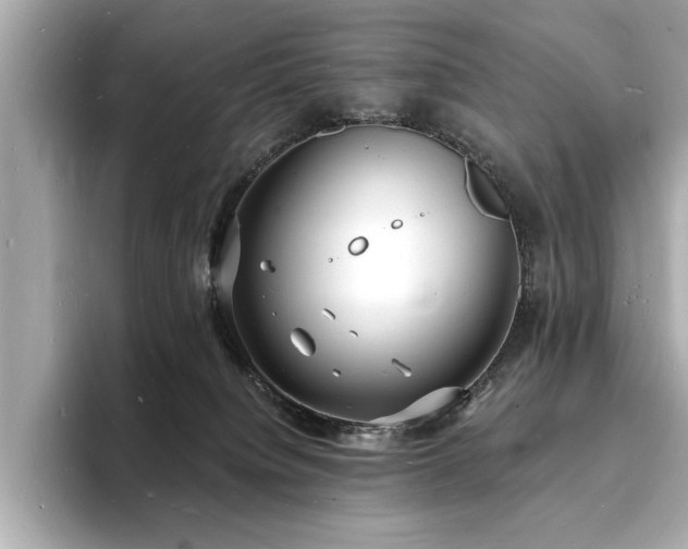 X0000093600084200710151229