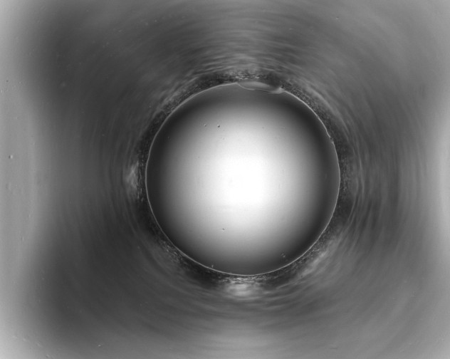 X0000093600088200710151229