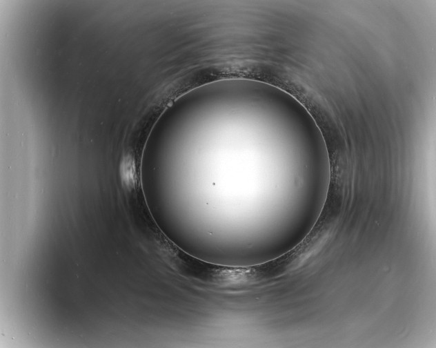 X0000093600089200710151229