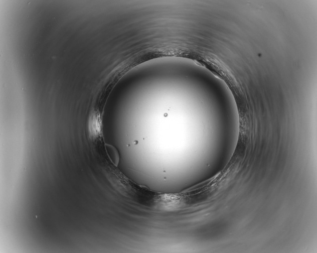 X0000093600095200710151229