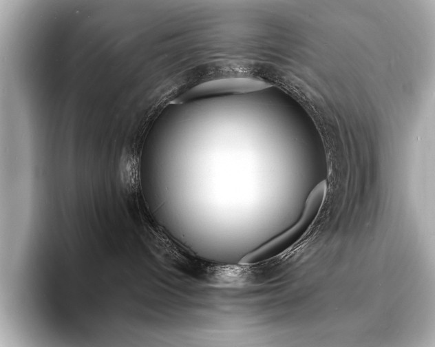 X0000093600096200710151229