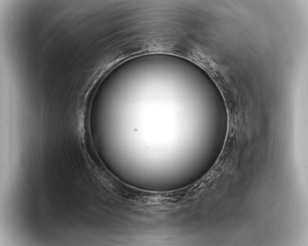 X0000093600098200710151228