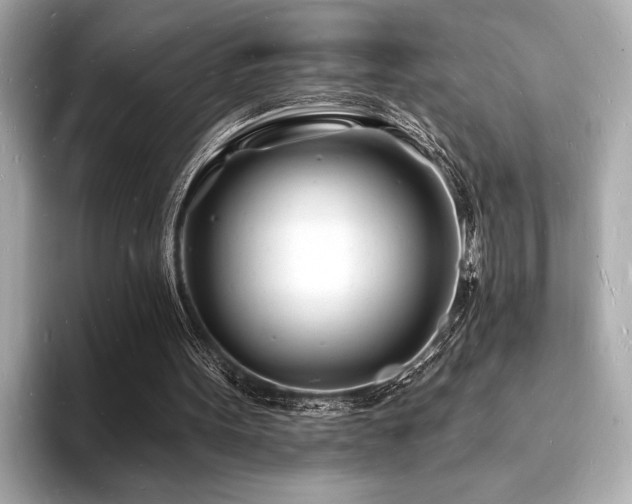 X0000093600099200710151228