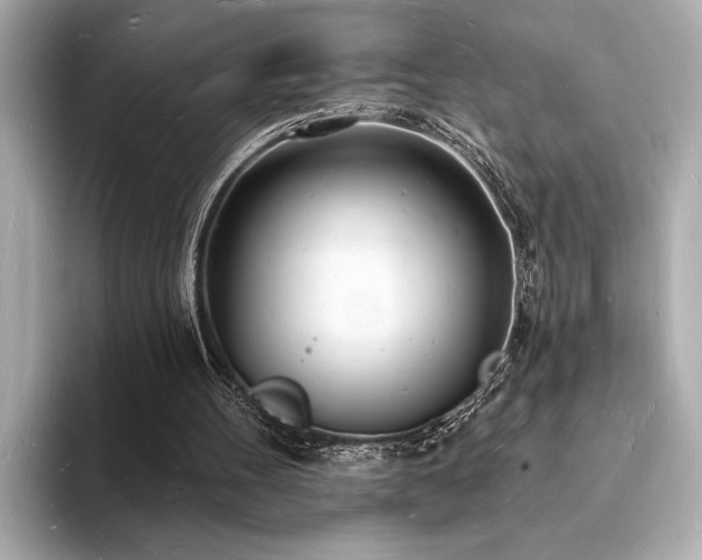 X0000093600100200710151228