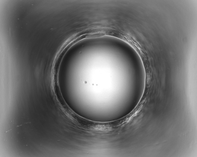 X0000093600101200710151228