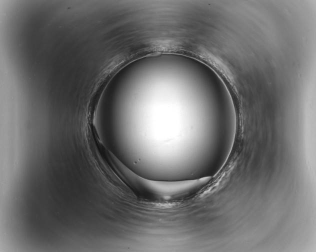 X0000093600105200710151228