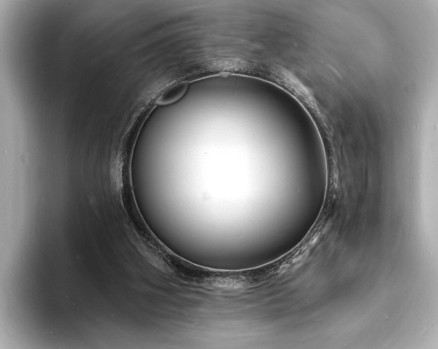 X0000093600106200710151228