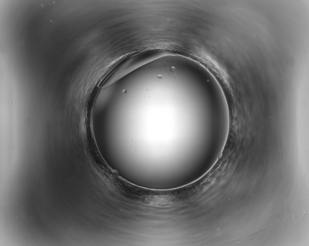 X0000093600107200710151228