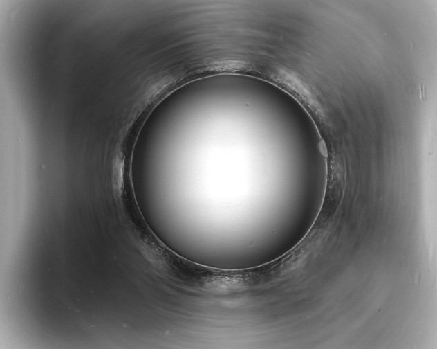 X0000093600110200710151228